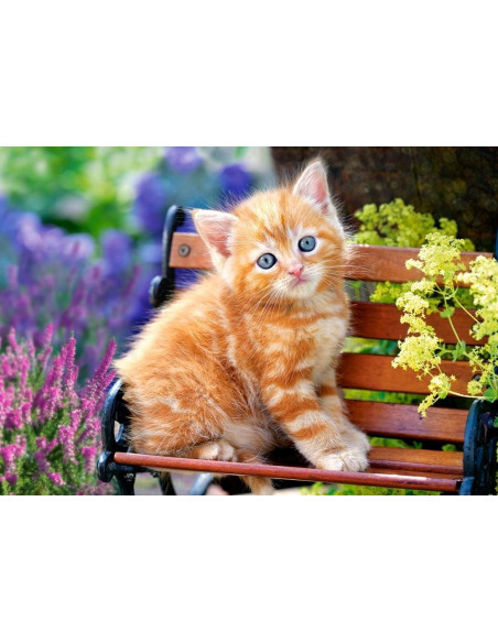 Ginger Kitten, Puzzle Castorland, 500 piese,Uniq52240