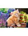 Ginger Kitten, Puzzle Castorland, 500 piese,Uniq52240