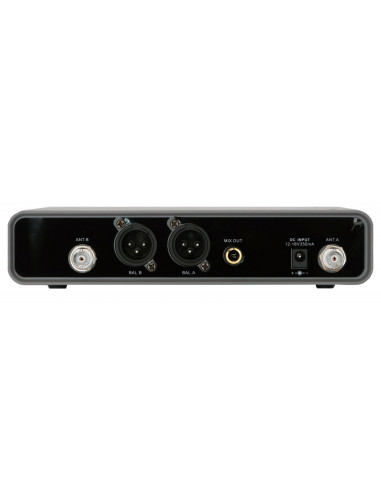 Set Microfon dublu Wireless de mana RH SOUND WR-207