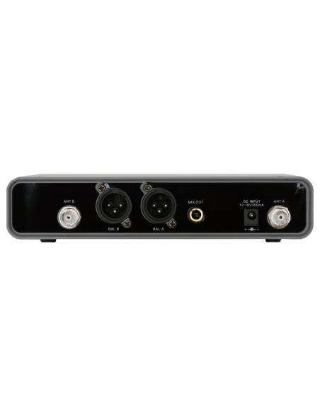Set Microfon dublu Wireless de mana RH SOUND WR-207