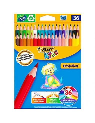 Creioane colorate BIC Evolution, 36 buc/set,950526