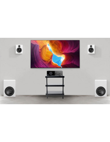 Sistem Stereo Lyngdorf cu amplif. TDAI-1120 + boxe de perete