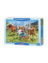On a Meadow, Puzzle Castorland, 120 piese,Uniq13029