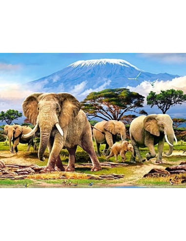 Kilimanjaro Morning, Puzzle Castorland, 300 piese,Uniq30019
