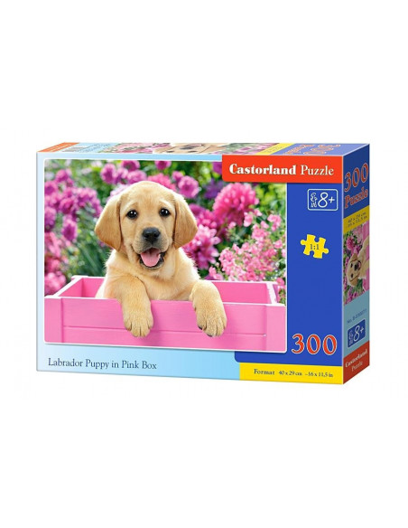 Labrador Puppy in Pink Box, Puzzle Castorland, 300