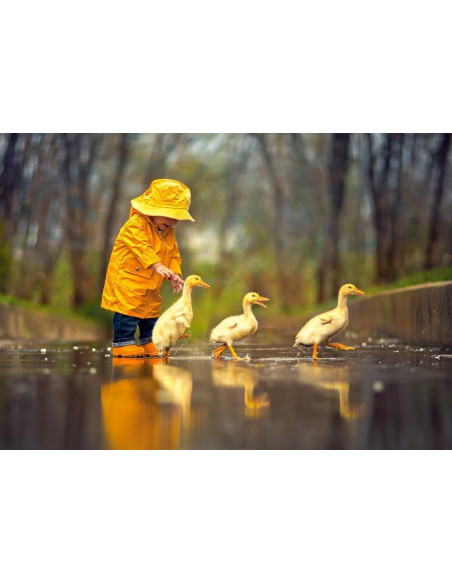 Rainy day friends, Puzzle Castorland, 500 piese,Uniq52264