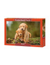 Puppy Love, Puzzle Castorland, 500 piese,Uniq52271