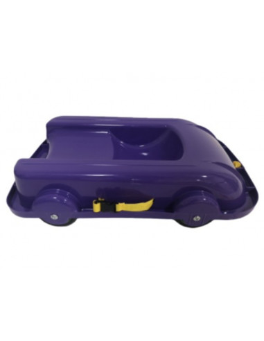 Carucior de tras si sanie copii MyKids 06550/4 Mov,00080403