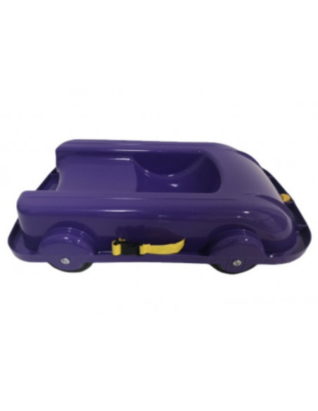 Carucior de tras si sanie copii MyKids 06550/4 Mov,00080403