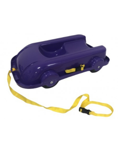 Carucior de tras si sanie copii MyKids 06550/4 Mov,00080403