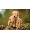 Puppy Love, Puzzle Castorland, 500 piese,Uniq52271