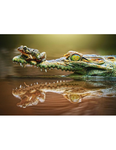The Daredevill Frog, Puzzle Castorland, 500 piese,Uniq52318