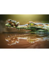 The Daredevill Frog, Puzzle Castorland, 500 piese,Uniq52318