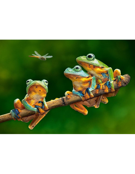 The Frog Companion, Puzzle Castorland, 500 piese,Uniq52301