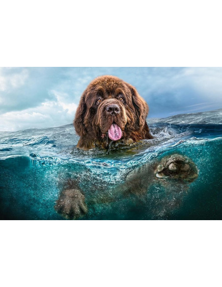 Big Brown, Puzzle Castorland, 1000 piese,Uniq103478