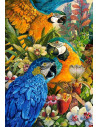 Amazon, Puzzle Castorland, 1000 piese,Uniq103485