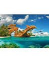 Dolphin Paradise, Puzzle Castorland, 1000 piese,Uniq103508