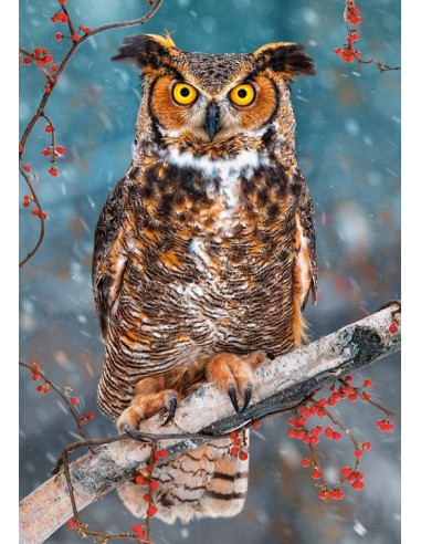 Great Horned Owl, Puzzle Castorland, 500 piese,Uniq52387