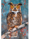 Great Horned Owl, Puzzle Castorland, 500 piese,Uniq52387