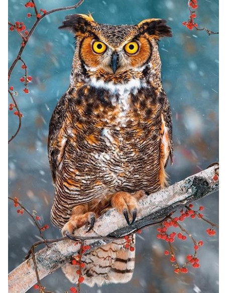 Great Horned Owl, Puzzle Castorland, 260 piese,Uniq27347