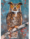 Great Horned Owl, Puzzle Castorland, 260 piese,Uniq27347