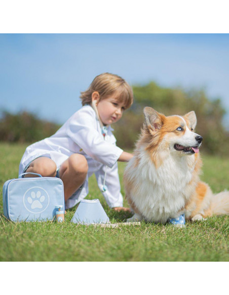 Setul micului veterinar,33002