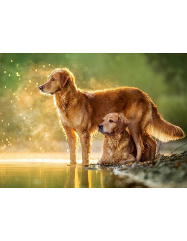 Best Friends, Puzzle Castorland, 180 piese,Uniq18253