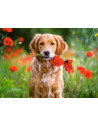 Flowers for you, Puzzle Castorland, 180 piese,Uniq18284