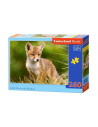 Little fox on the meadow, Puzzle Castorland, 260 piese,Uniq27354