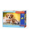 Friendship forever, Puzzle Castorland, 260 piese,Uniq27361
