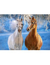 Winter Horses, Puzzle Castorland, 260 piese,Uniq27378