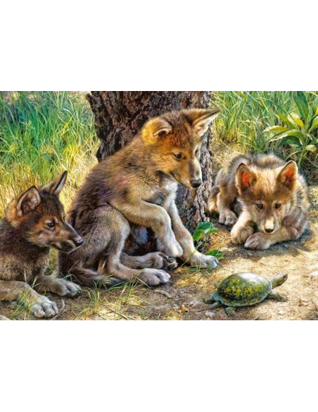 The Shell Game, Puzzle Castorland, 260 Piese,Uniq27385