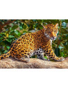 Little Jaguar, Puzzle Castorland, 260 Piese,Uniq27392