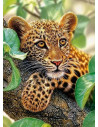 Tree Hugger, Puzzle Castorland, 300 Piese,Uniq30170