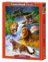 Big Cats, Puzzle Castorland, 1000 Piese,Uniq103553