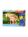 Catelus Pe Malul Raului, Puzzle Castorland, 60 Piese,Uniq6946