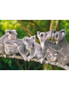 Familie Ursuleti Koala, Puzzle Castorland, 120 Piese,Uniq13289