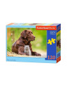Caine Si Pisicuta, Puzzle Castorland, 120 Piese,Uniq13326
