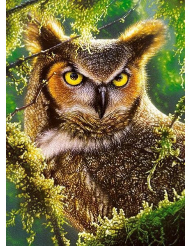 Bufnita, Puzzle Castorland, 300 Piese,Uniq30231