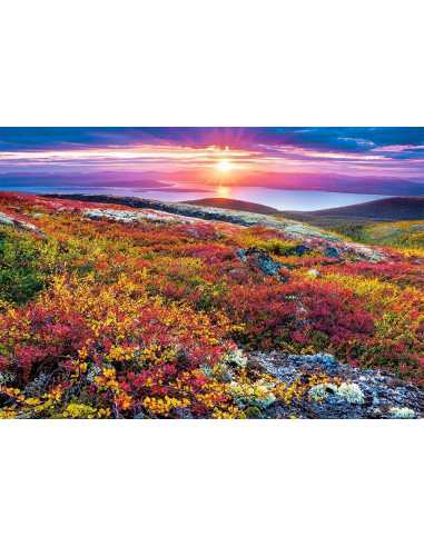 Peisaj Floral, Puzzle Castorland, 1000 Piese,Uniq103539