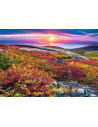 Peisaj Floral, Puzzle Castorland, 1000 Piese,Uniq103539