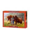Fetita Si Cai, Puzzle Castorland, 500 Piese,Uniq52509