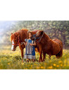 Fetita Si Cai, Puzzle Castorland, 500 Piese,Uniq52509