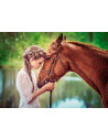 Fata Si Cal, Puzzle Castorland, 500 Piese,Uniq52516