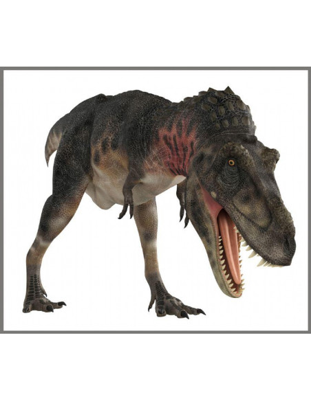 Proiector 2 in 1 - Dinozauri,E2046