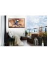 Televizor TV SAMSUNG Lifestyle TV The Terrace, QLED, Ultra HD