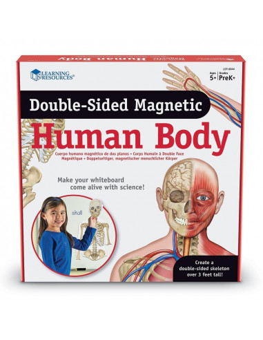 Corpul uman - set magnetic,LER6044