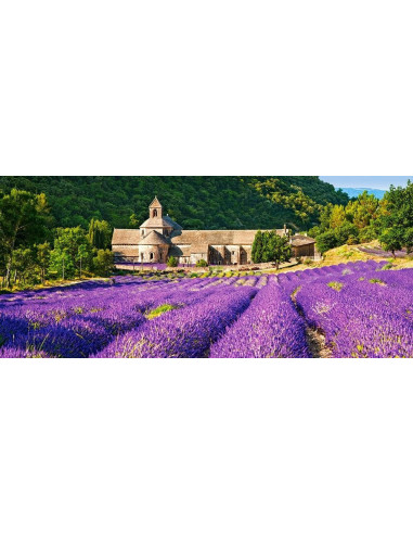 Notre Dame De Senanque, Franta, Puzzle Castorland Panoramic