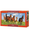 Paradisul Cailor, Puzzle Castorland Panoramic, 600