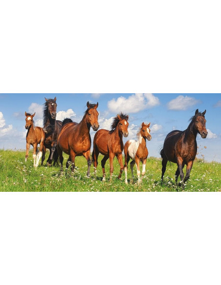 Paradisul Cailor, Puzzle Castorland Panoramic, 600